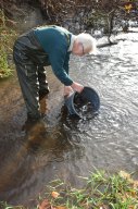 Swallowfield 14/11/24 -2