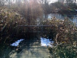 Fobney Wetlands Nature Reserve 2019