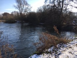Fobney Wetlands Nature Reserve 2019