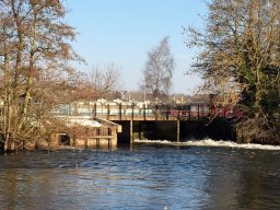 Fobney Wetlands Nature Reserve 2019