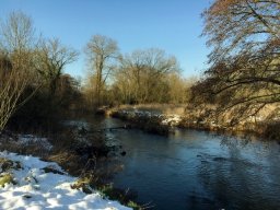 Fobney Wetlands Nature Reserve 2019