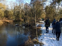 Fobney Wetlands Nature Reserve 2019