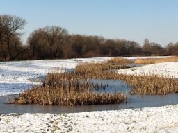 Fobney Wetlands Nature Reserve 2019