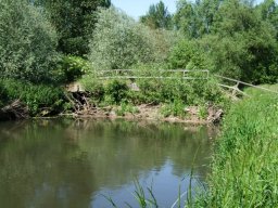 Large Woody Debris Buildup