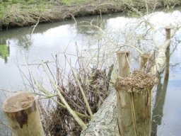 Woody Debris Deflector